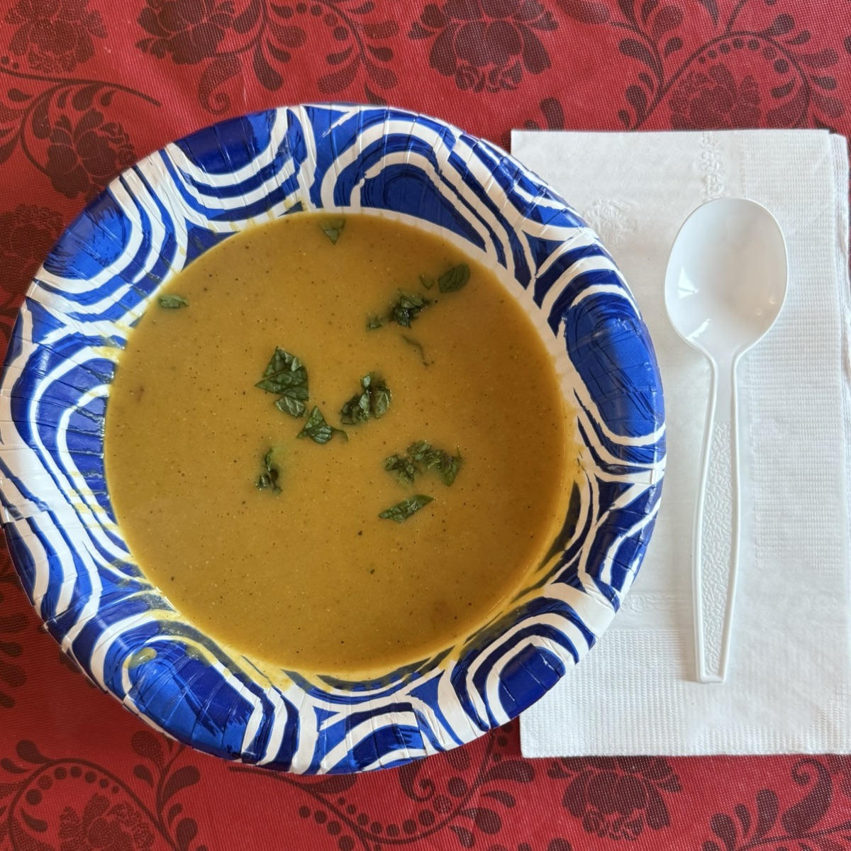 Homestyle Red Lentil Vegetable Soup with Fresh Mint