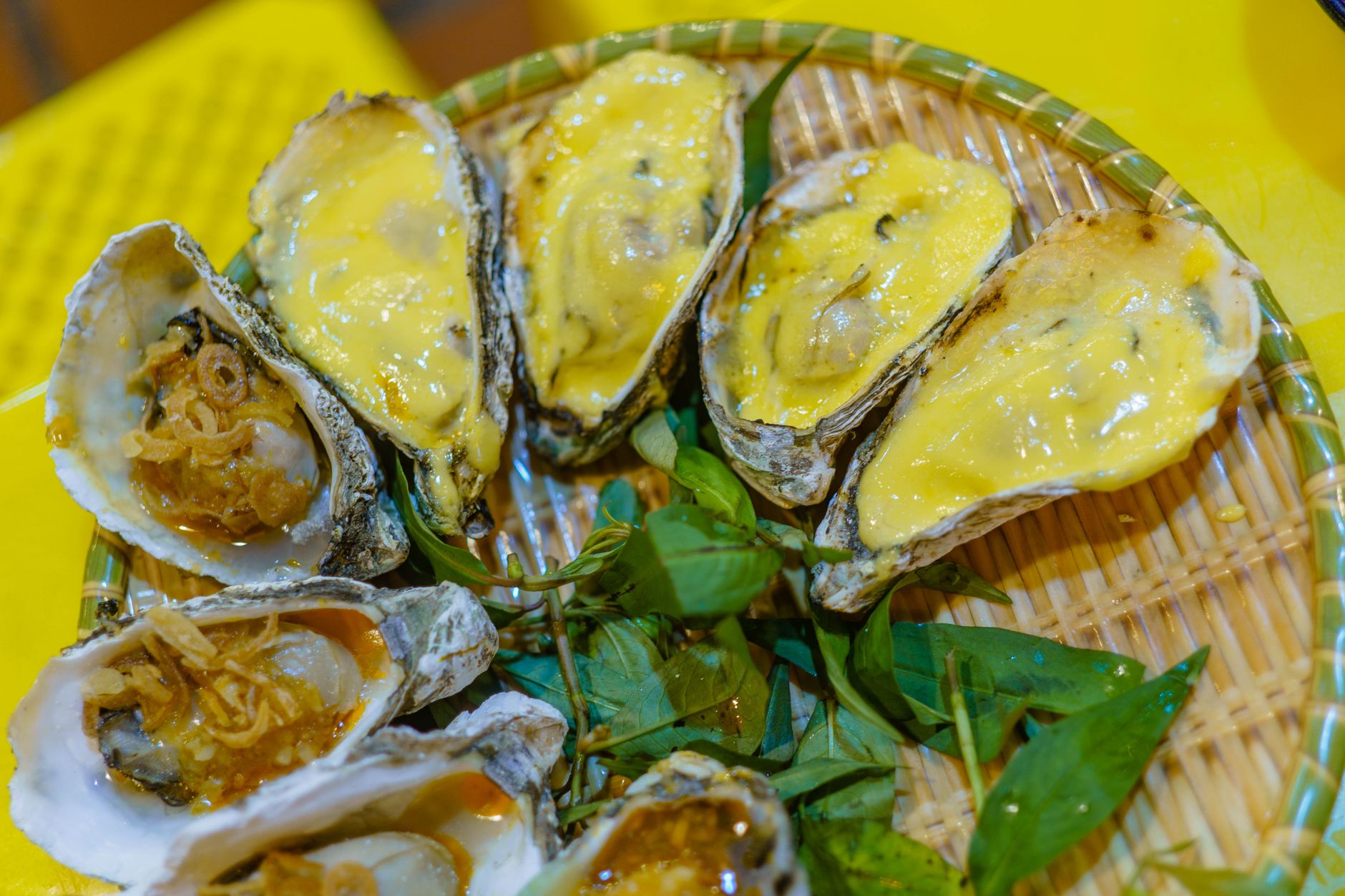 Baked Oysters with Cheese