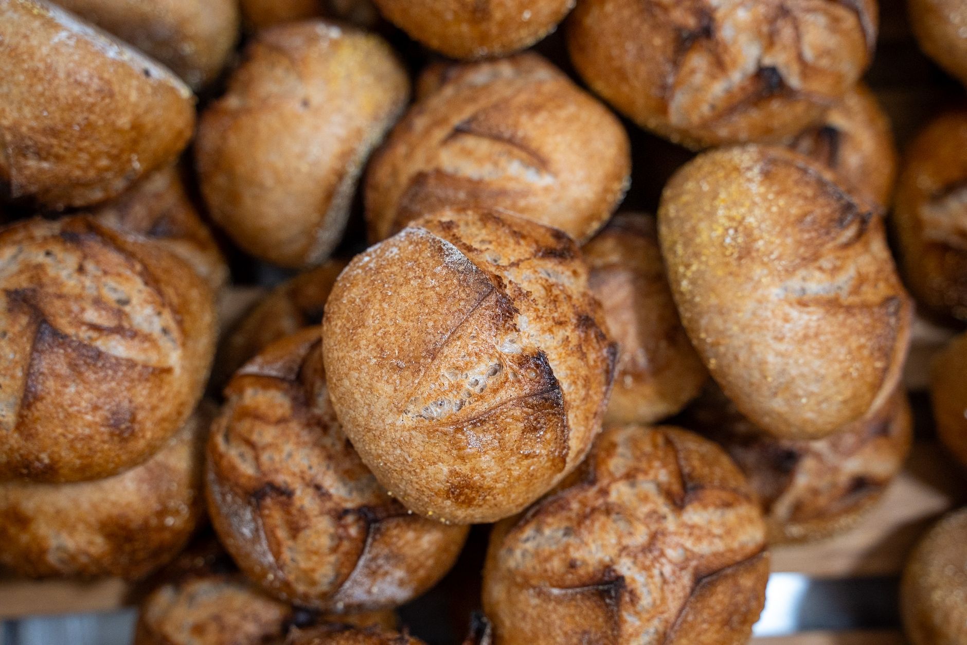 Butter Bread Rolls