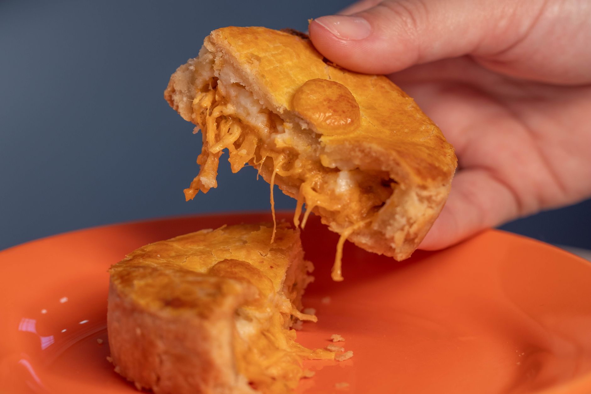 Chicken and Cheese Empanada
