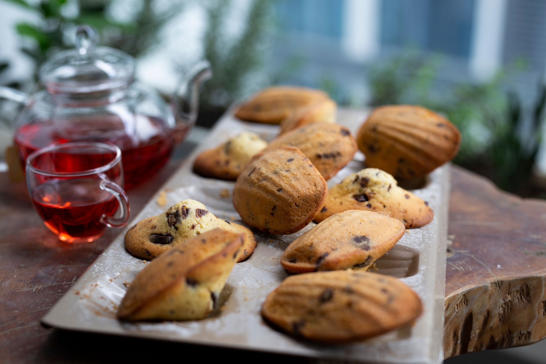 Chocolate Chip Madeleines