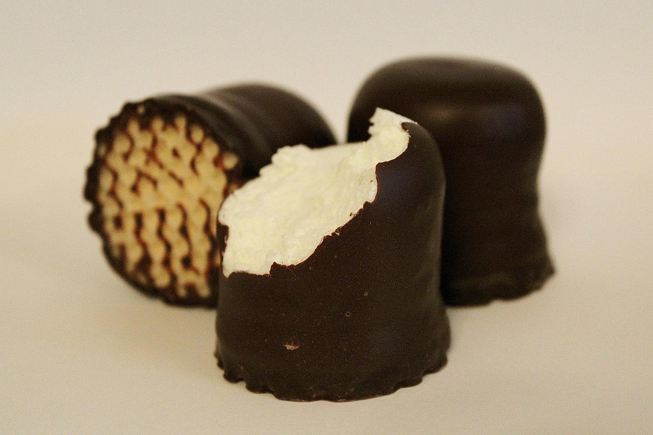 Chocolate-Covered Marshmallows