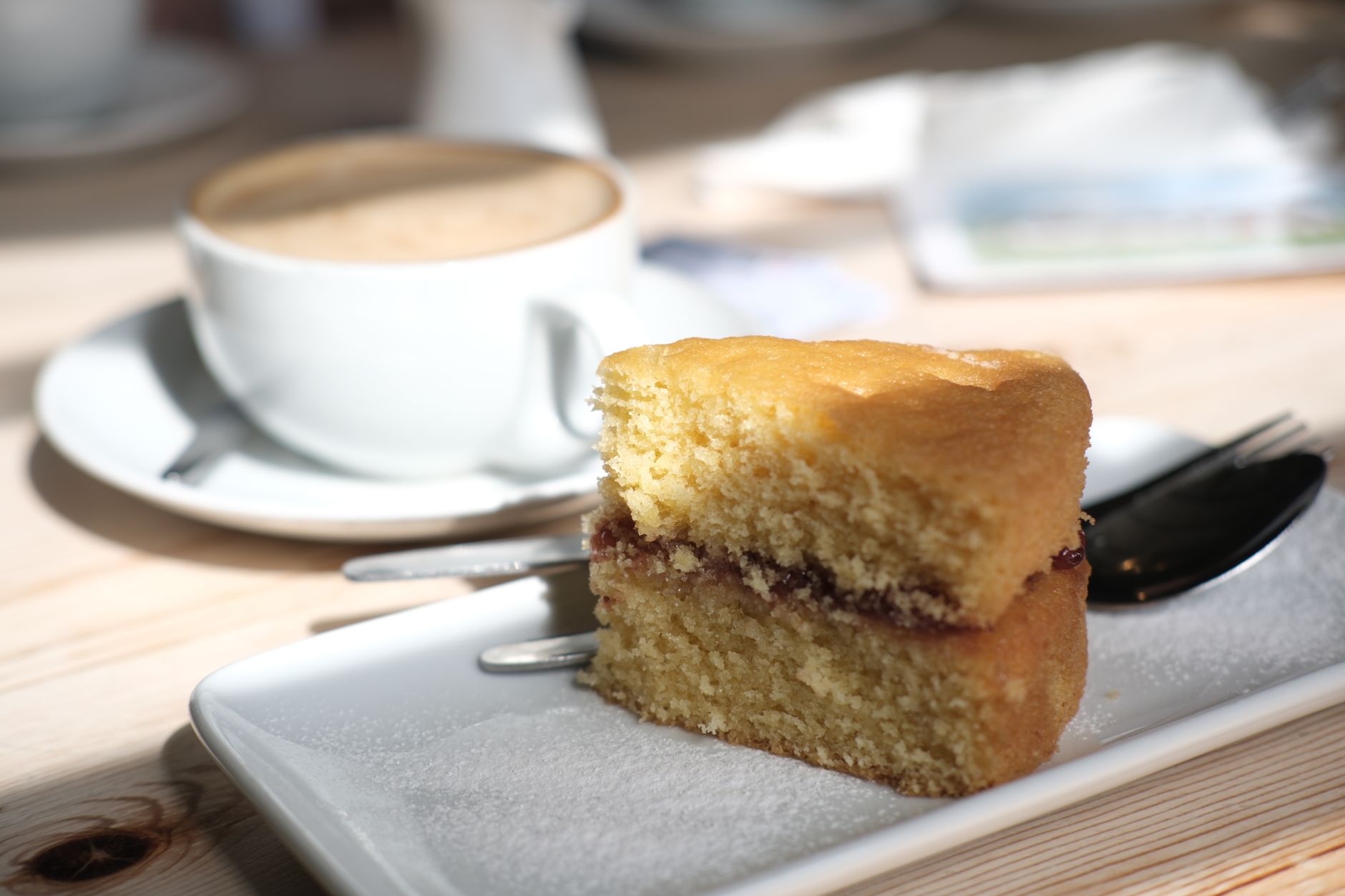 Chocolate Cream-filled Sponge Cake