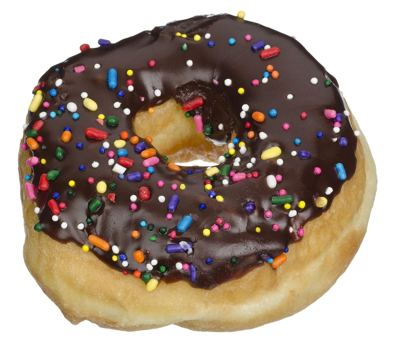 Chocolate Frosted Donut with Sprinkles