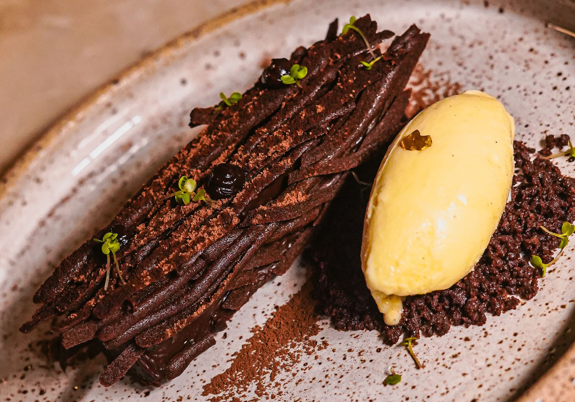 Chocolate Torte with Vanilla Ice Cream