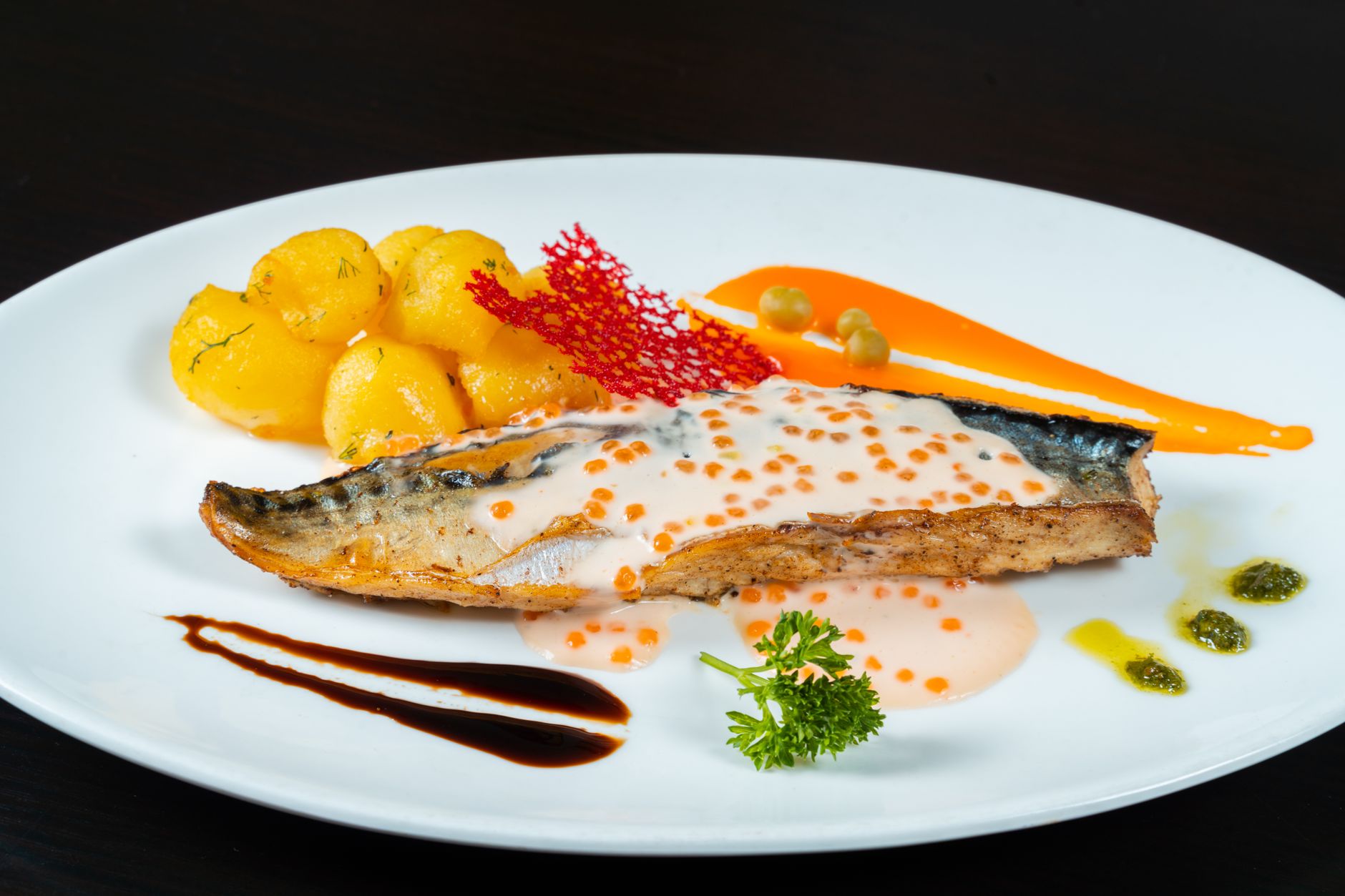 Grilled Fish Fillet with Sauce