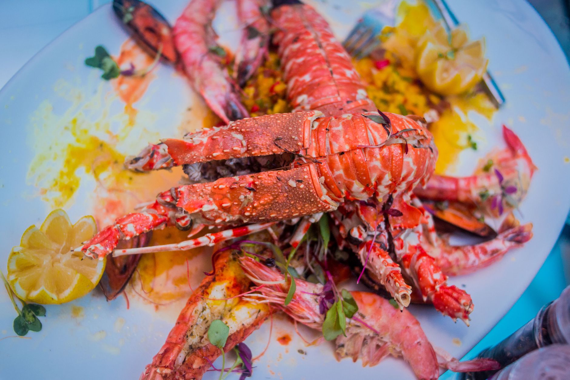 Grilled Lobster Tail with Shrimp