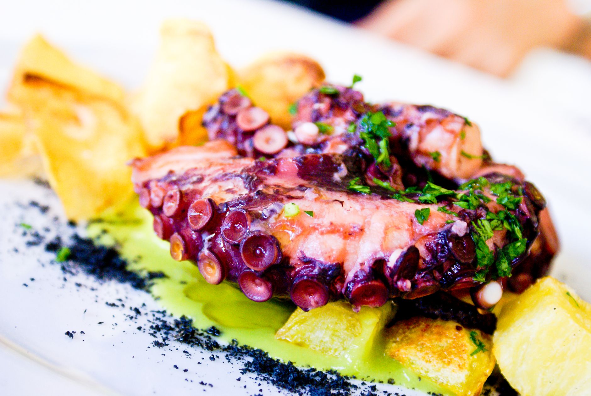 Grilled Octopus with Potatoes and Olive Oil