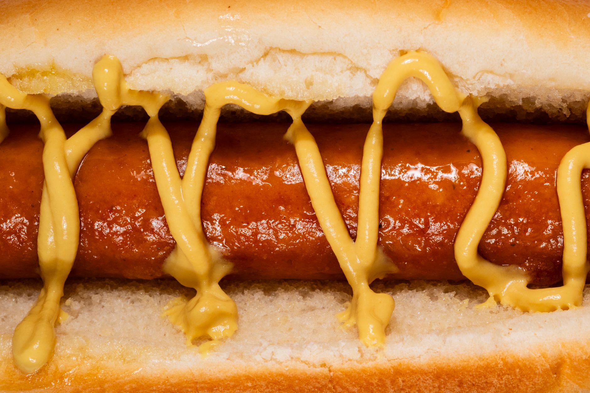 Hot Dog with Mustard