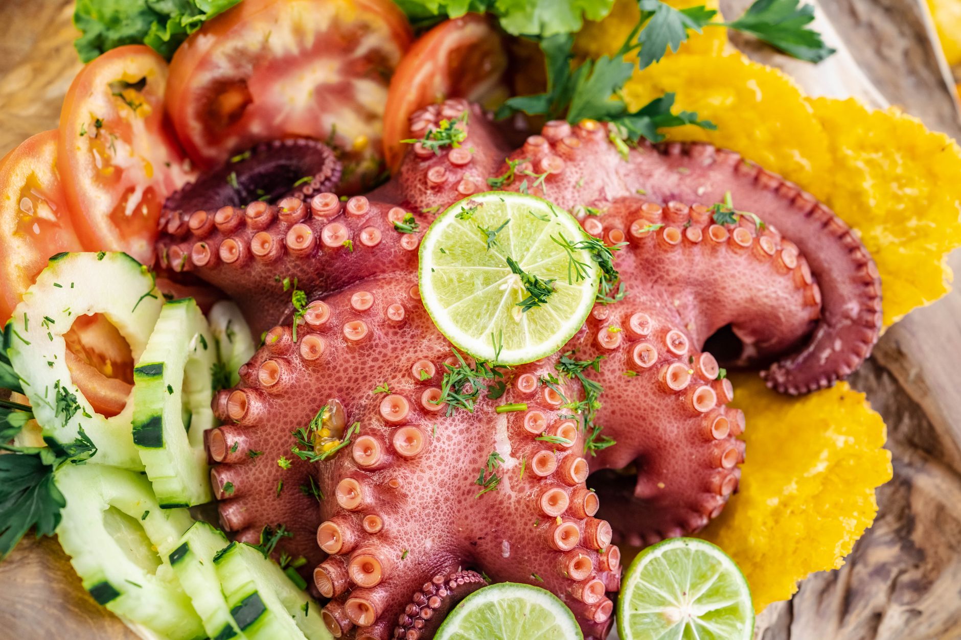 Mexican-style Octopus Salad