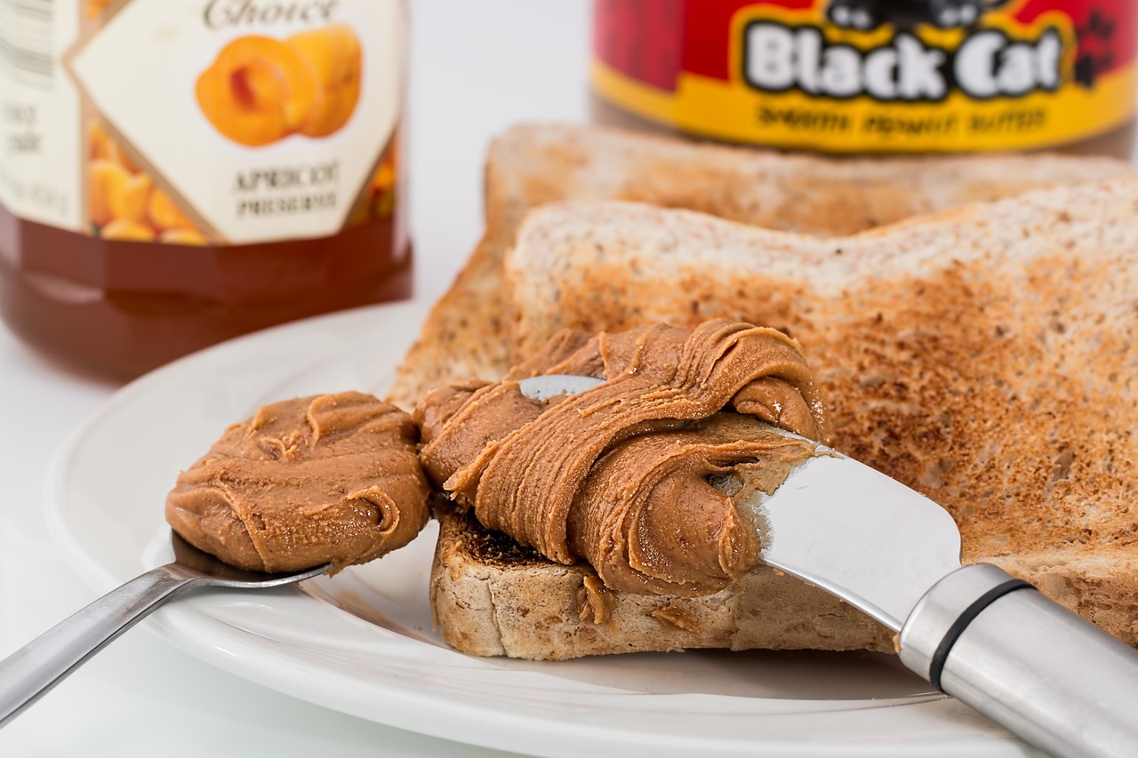 Peanut Butter and Jelly Sandwich