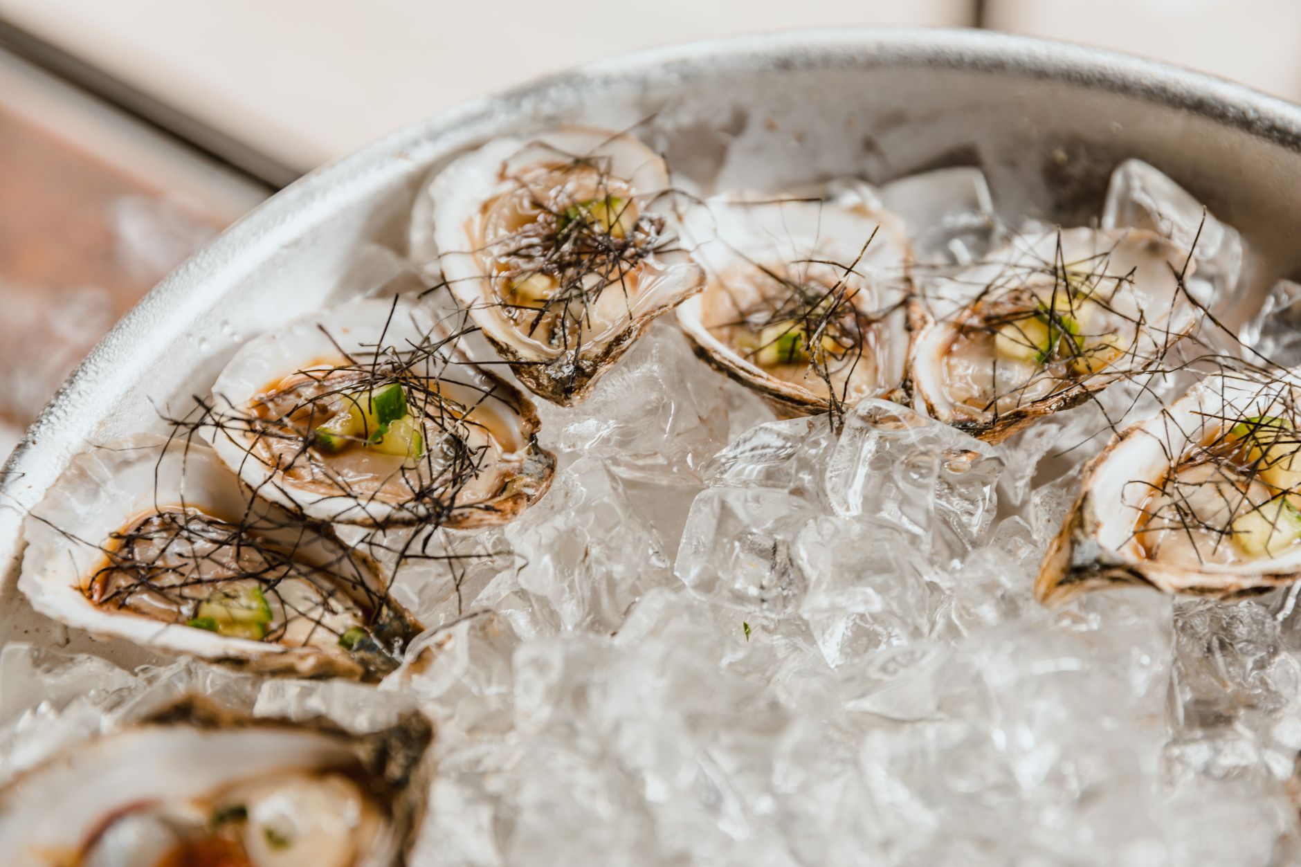 Raw Oysters on the Half Shell
