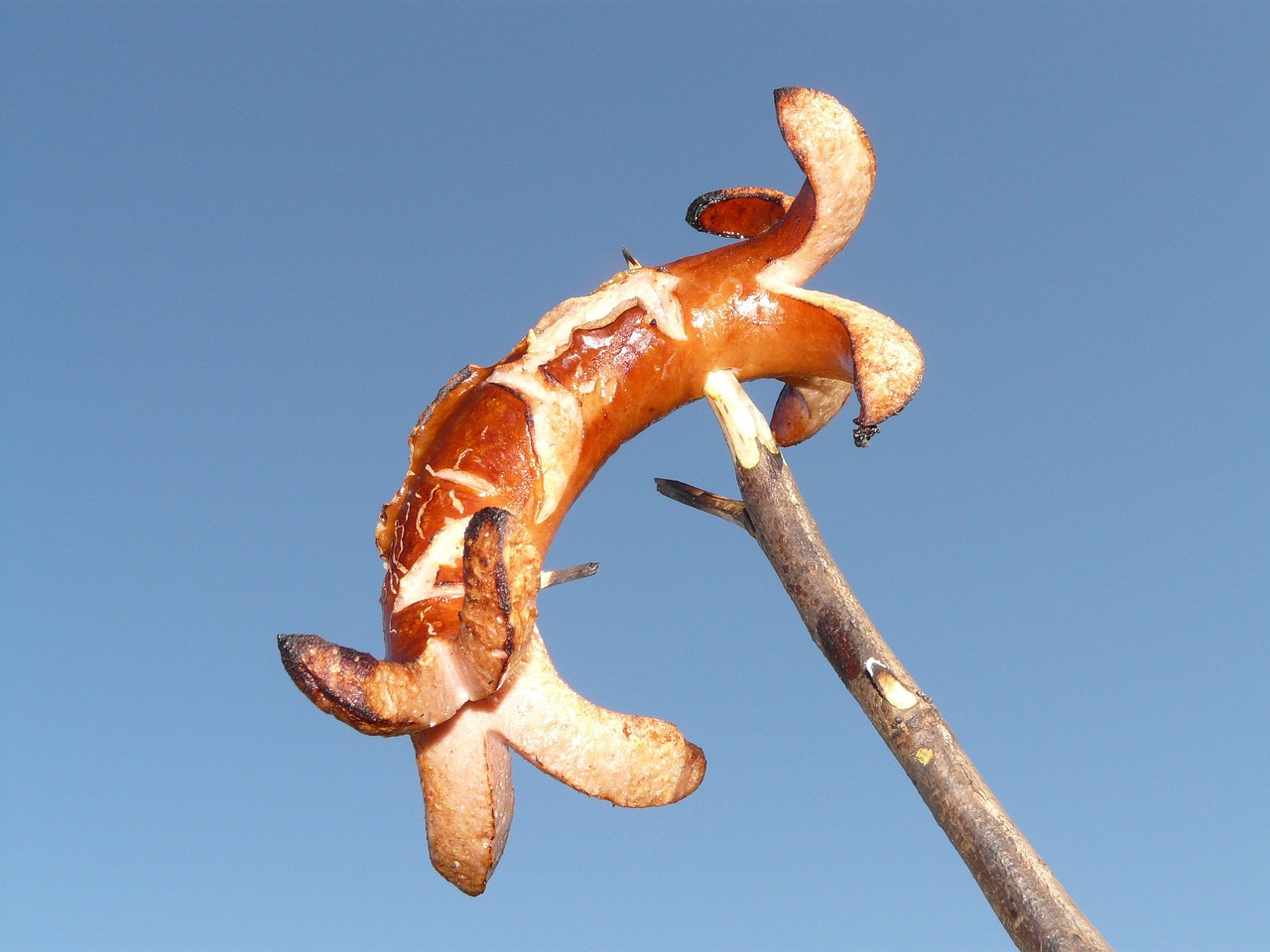 Roasted Sausage