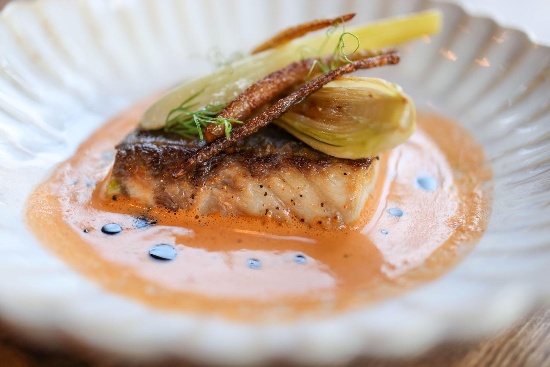 Seared Fish with Tomato Sauce and Caramelized Onions