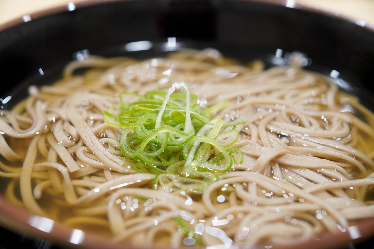 Soba Noodles in Broth