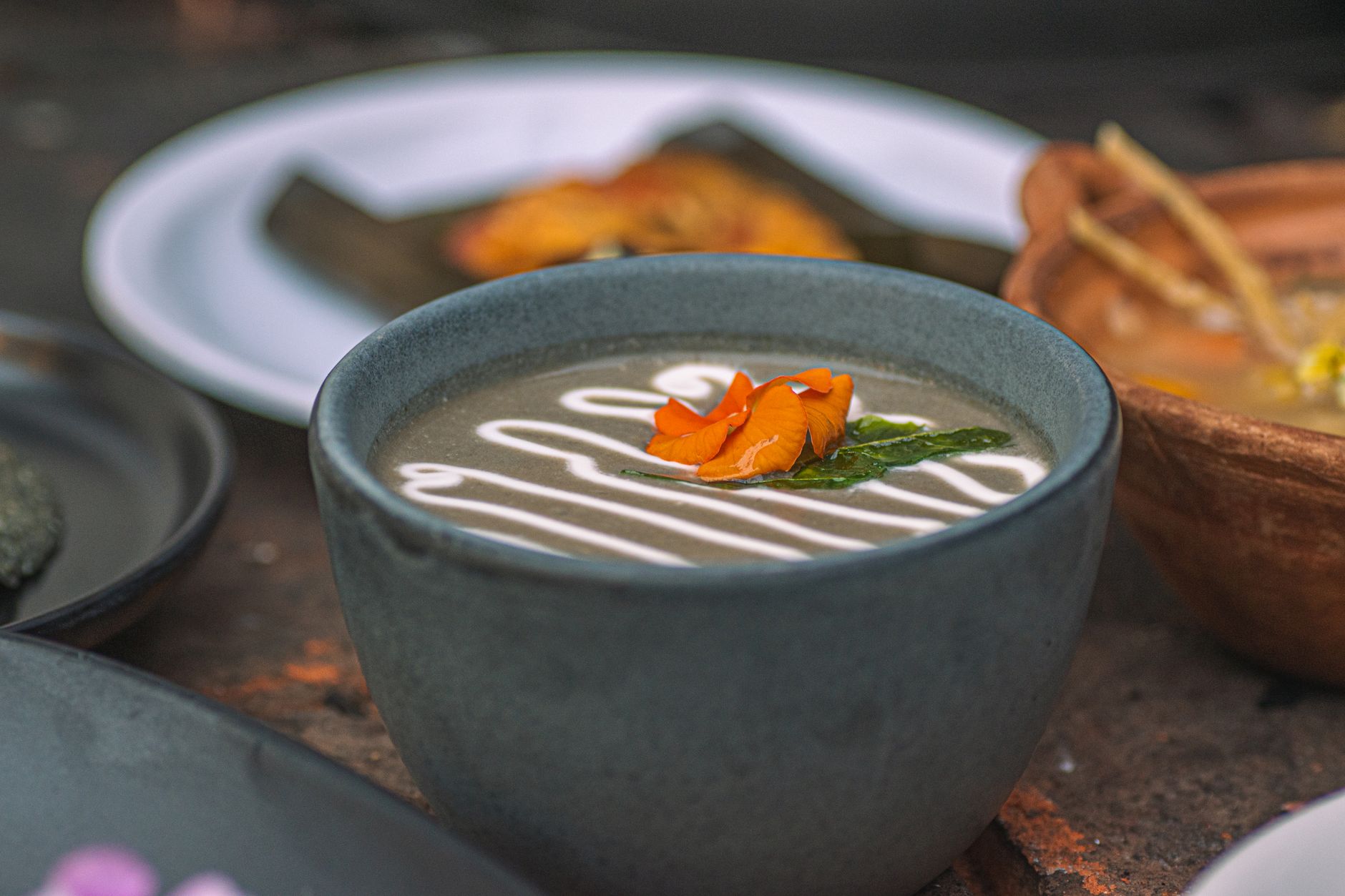 Squash Vine Soup