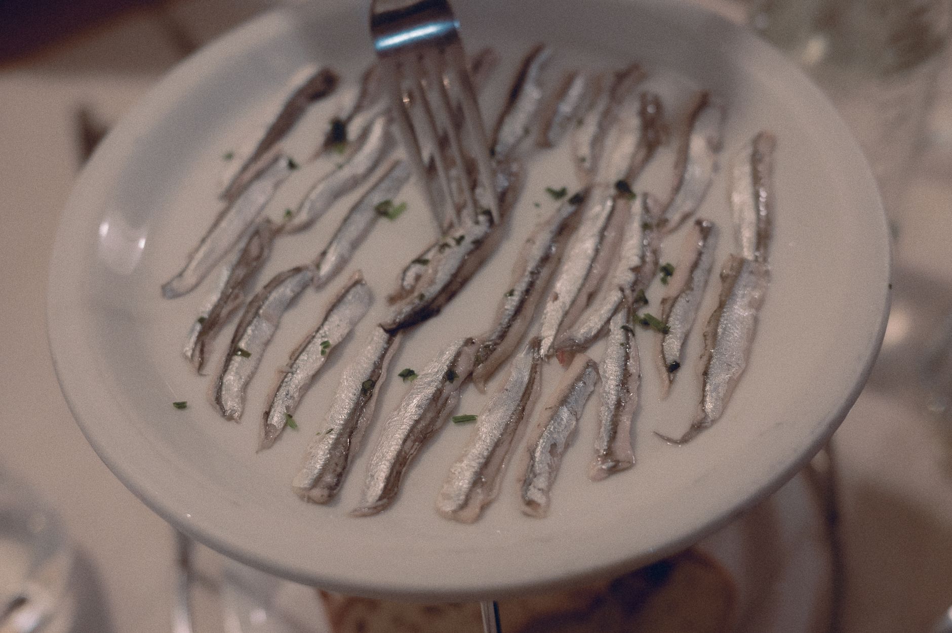 Stuffed Sardines