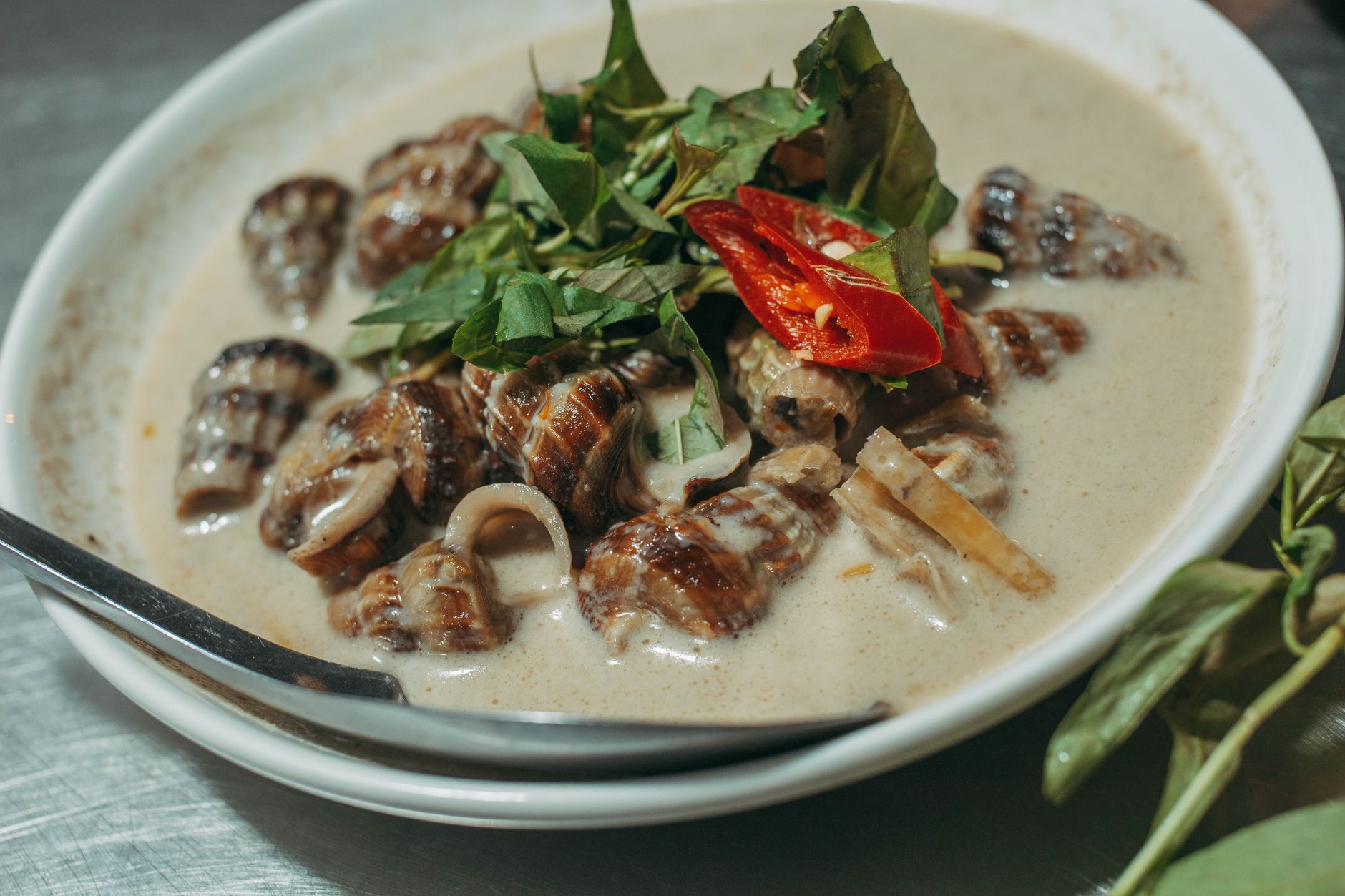 Thai Coconut Curry with Snails