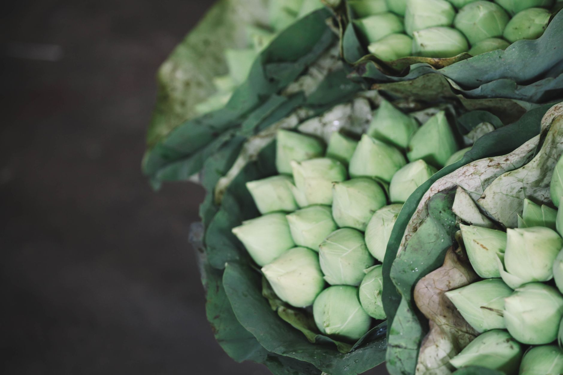 Thai Miang Kham