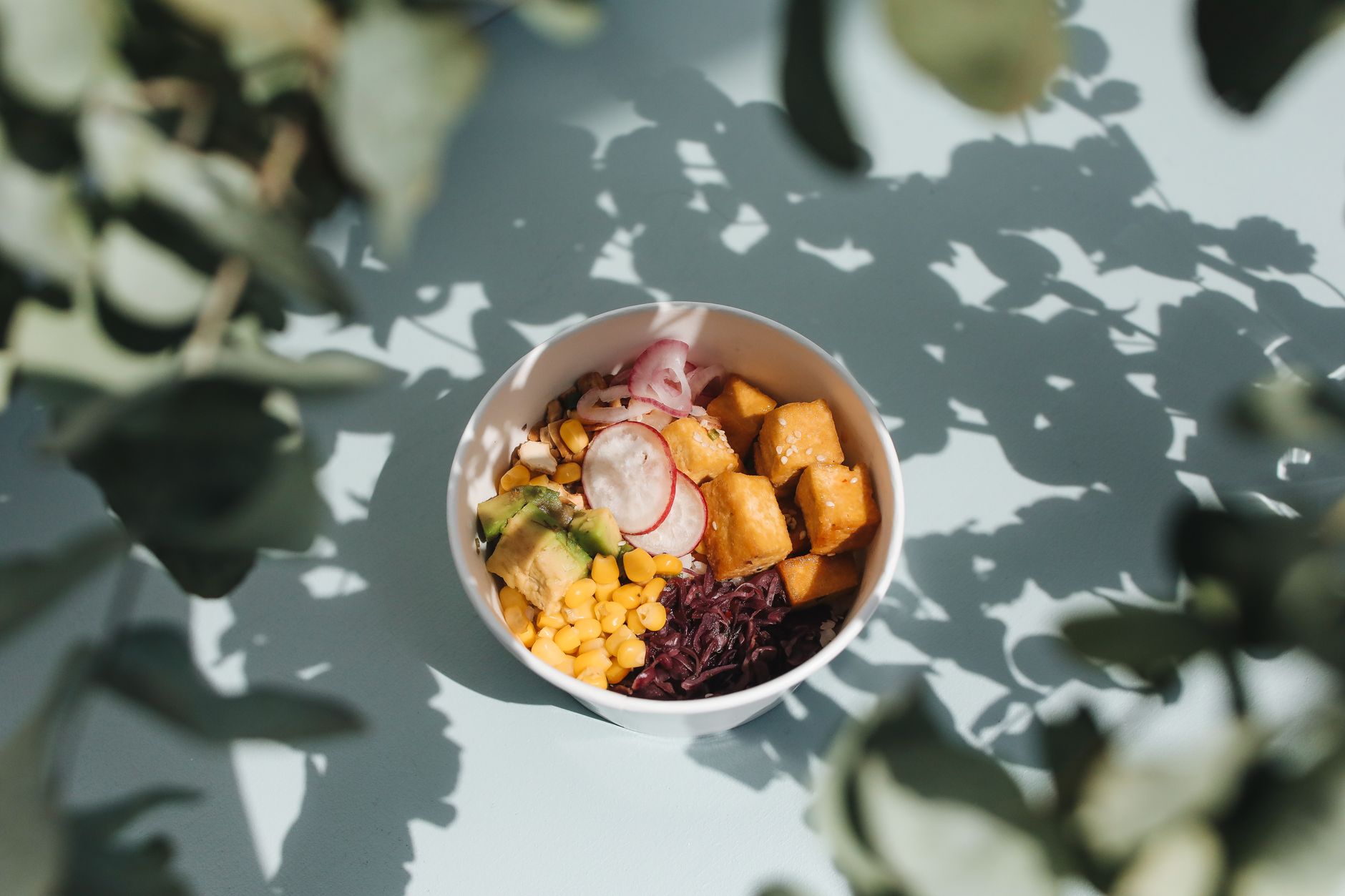 Tofu and Avocado Salad