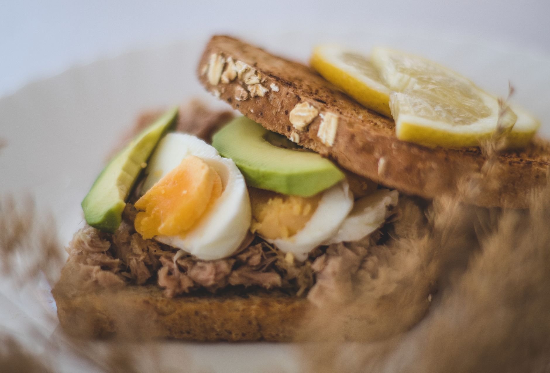 Tuna Avocado Egg Sandwich