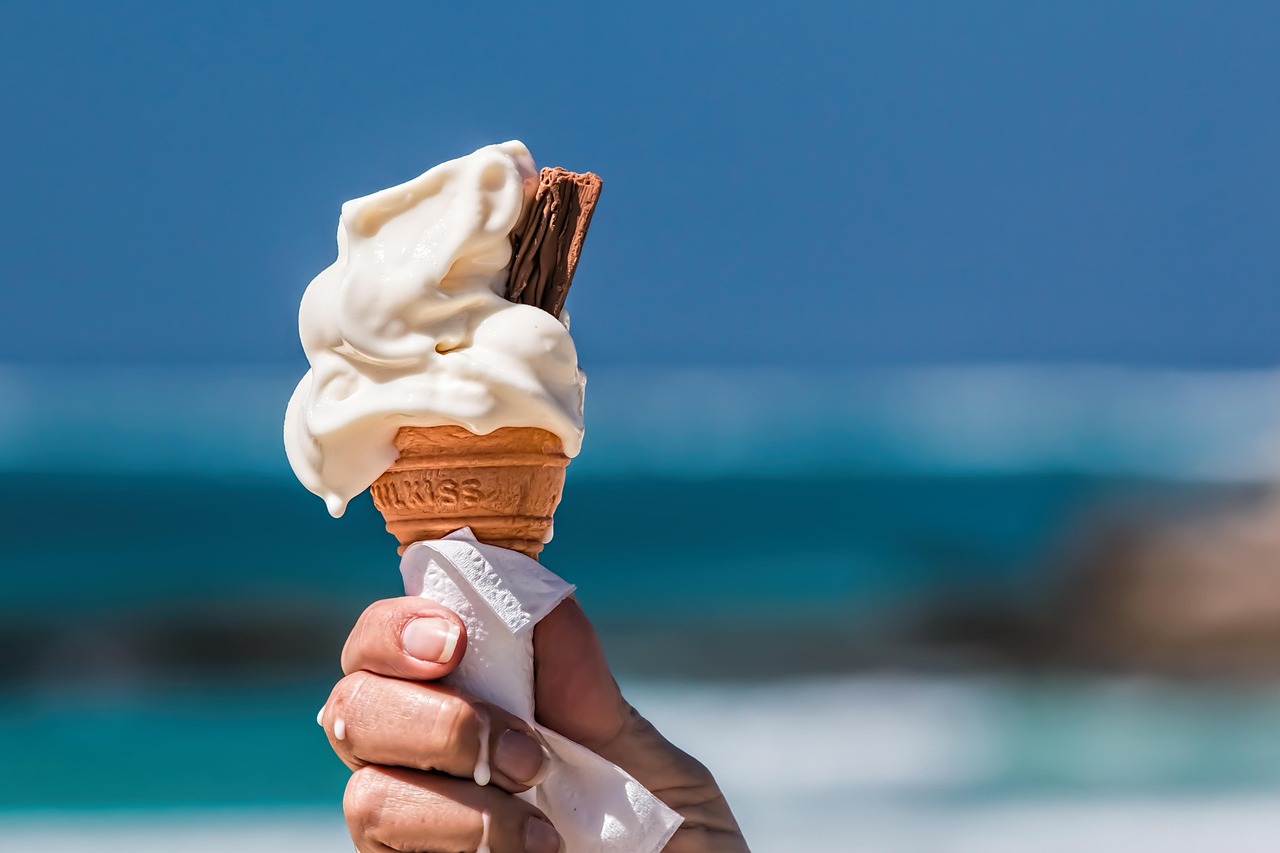 Vanilla Ice Cream with Chocolate Wafer