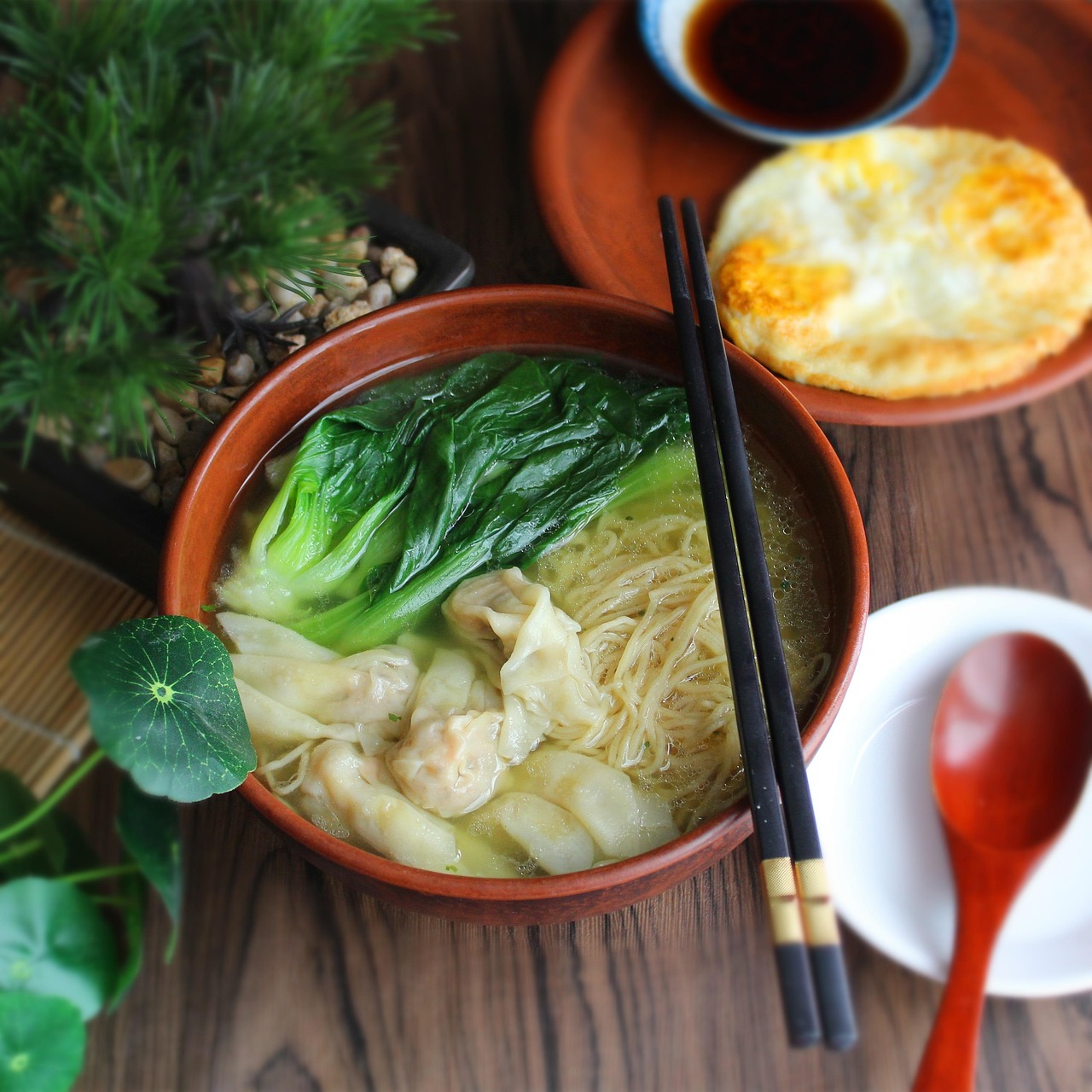 Wonton Soup with Noodles