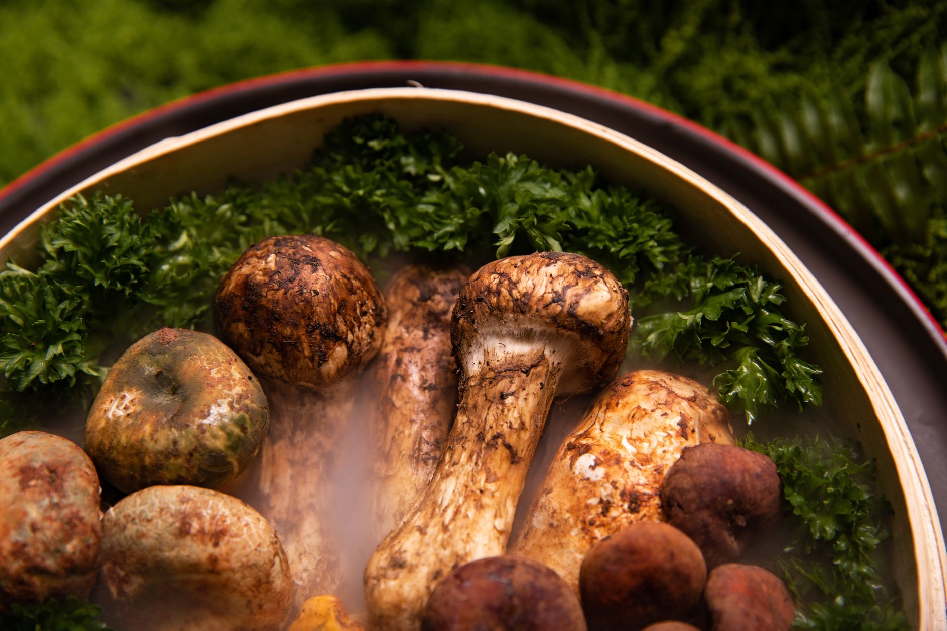Yunnan Wild Mushroom Hot Pot