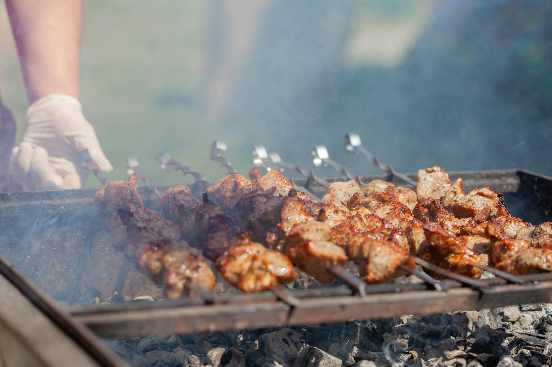 Balkan Grilled Pork Skewers