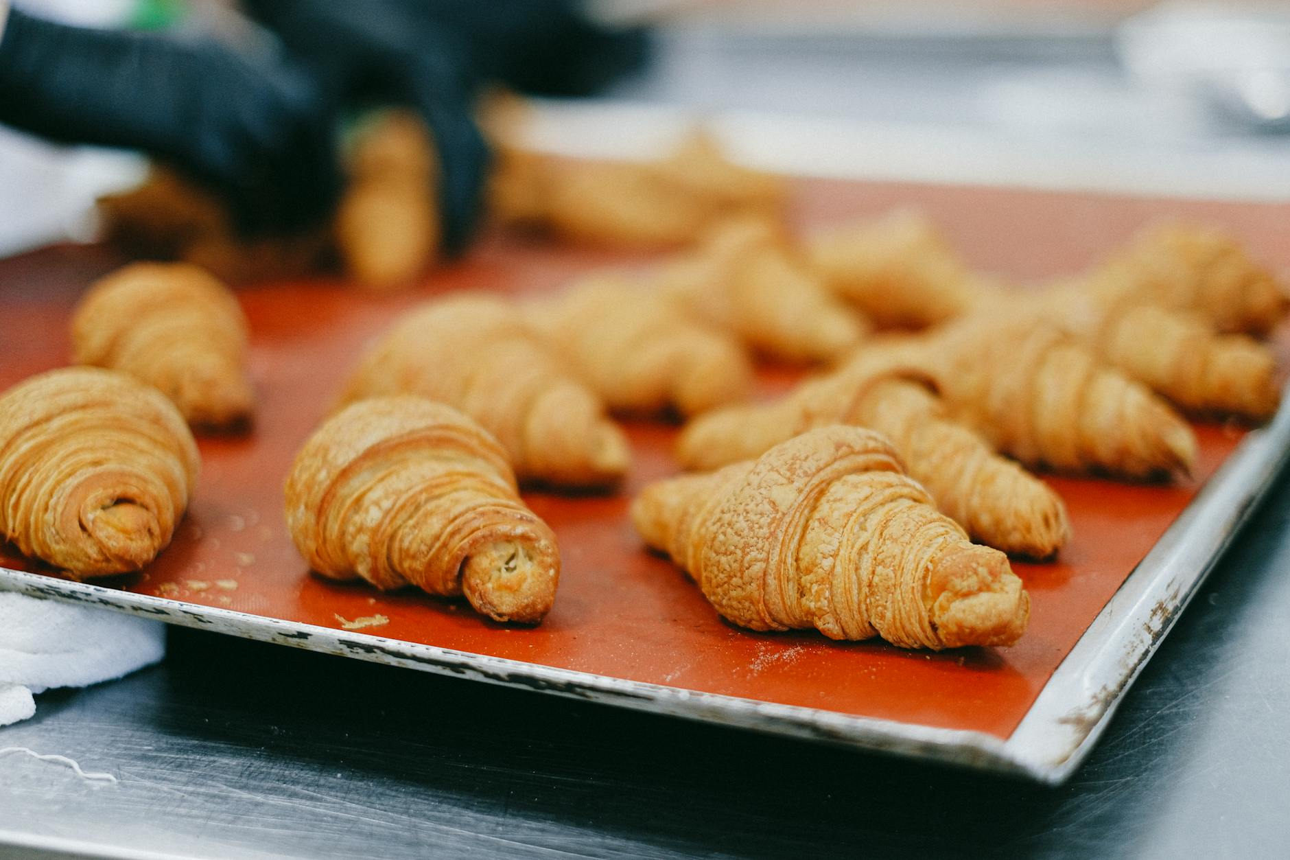 Classic French Madeleines