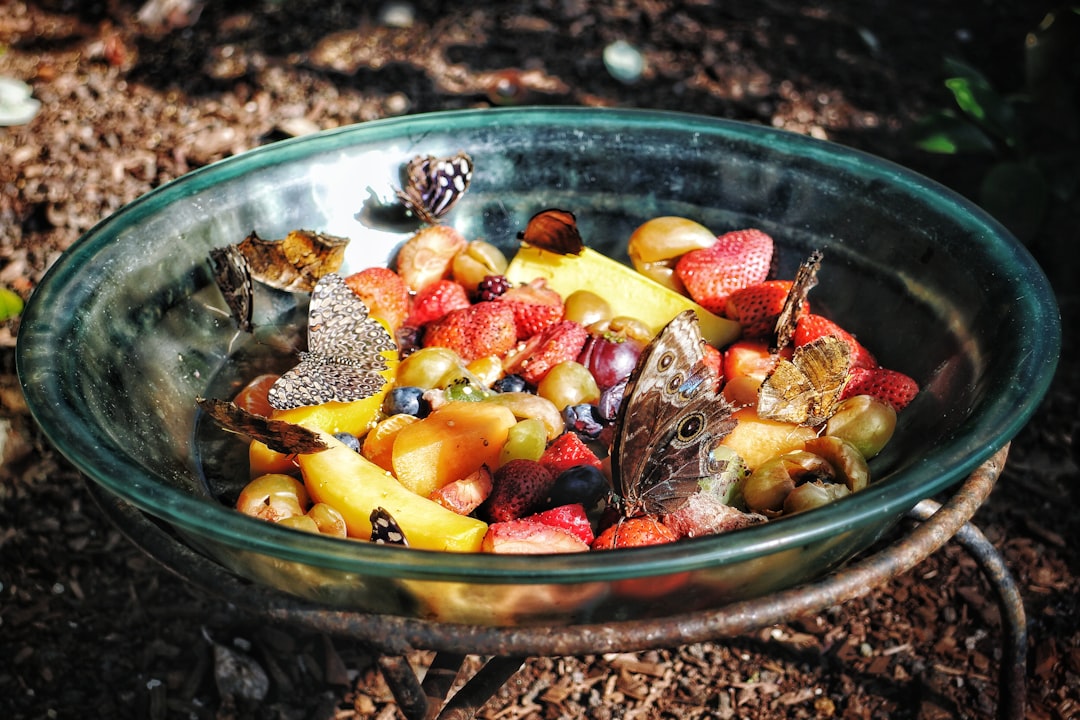 Colorful Fruit Salad Bowl