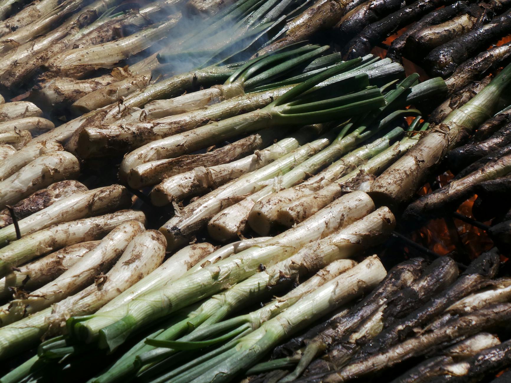 Crispy Calçots with Romesco