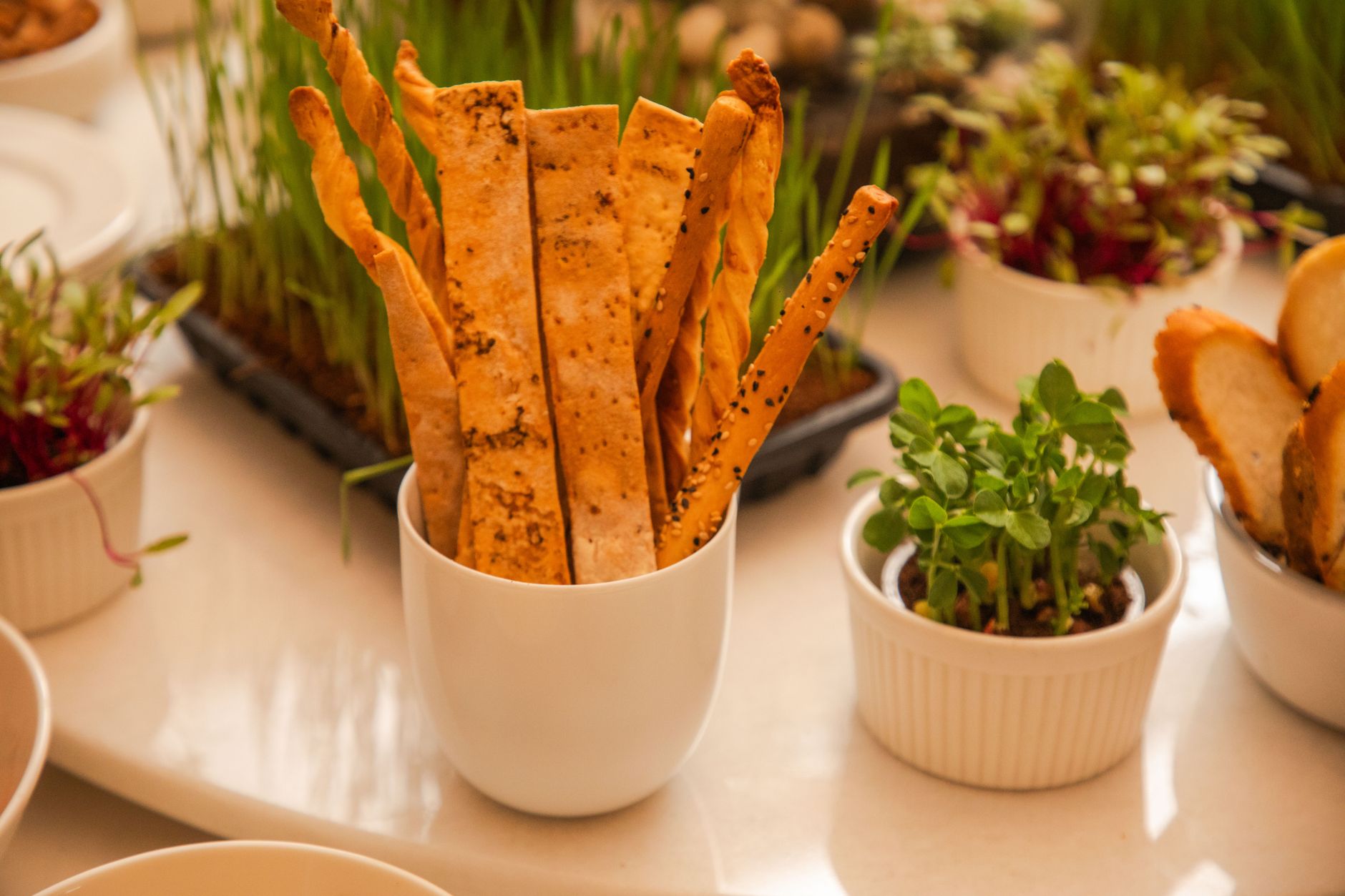 Crispy Grissini with Whipped Ricotta & Greens