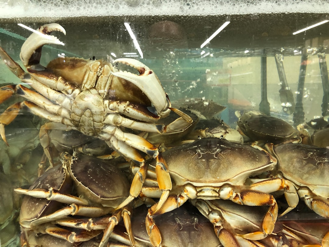 Dungeness Crab Dinner