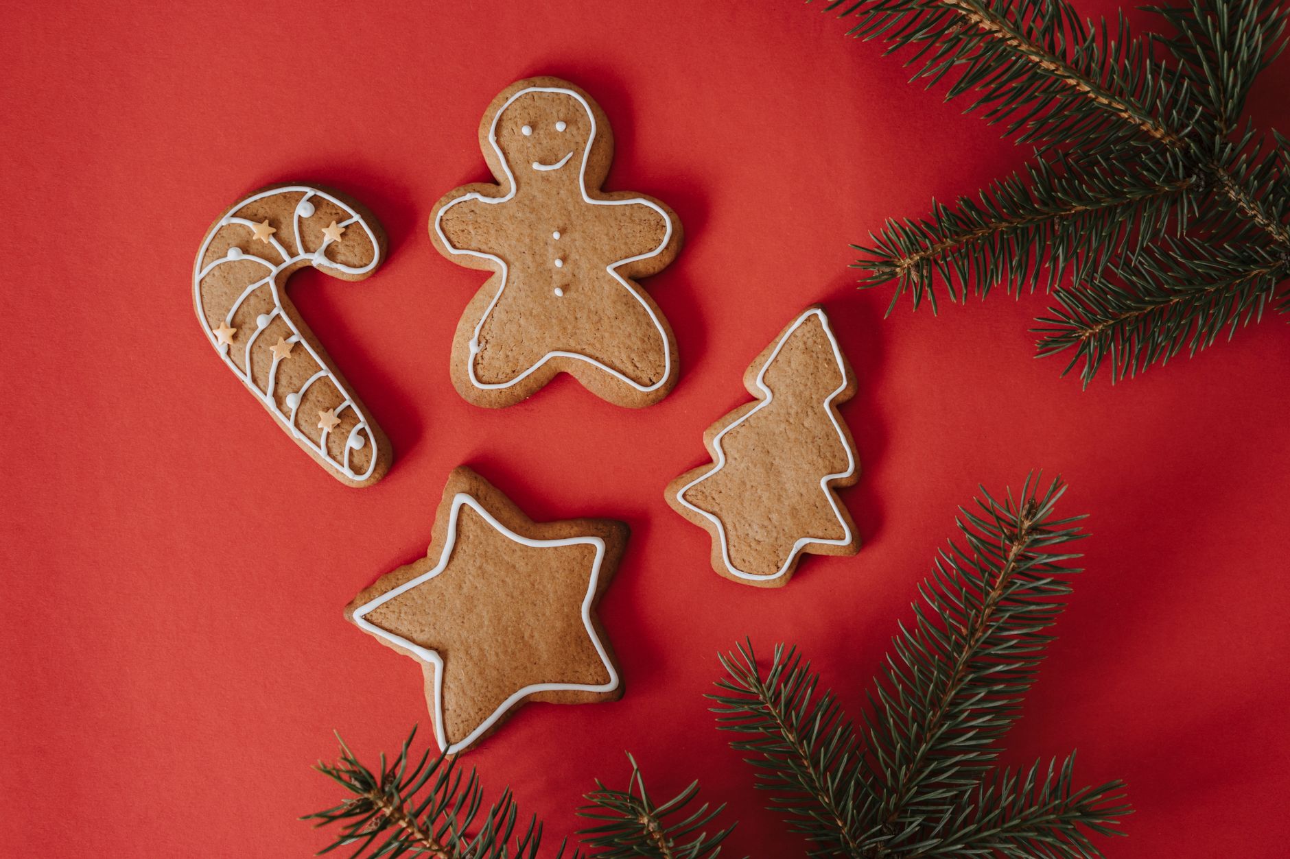 Gingerbread Cookies