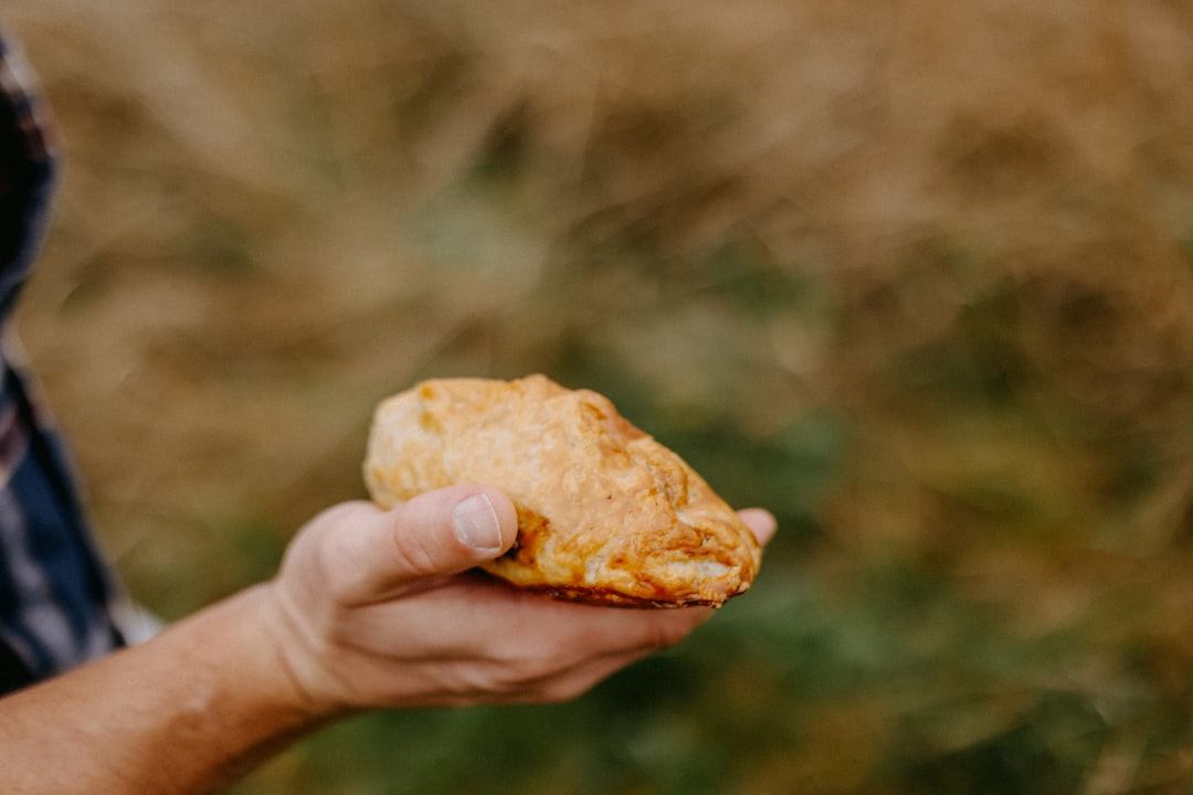 Golden Cinnamon Apple Hand Pies