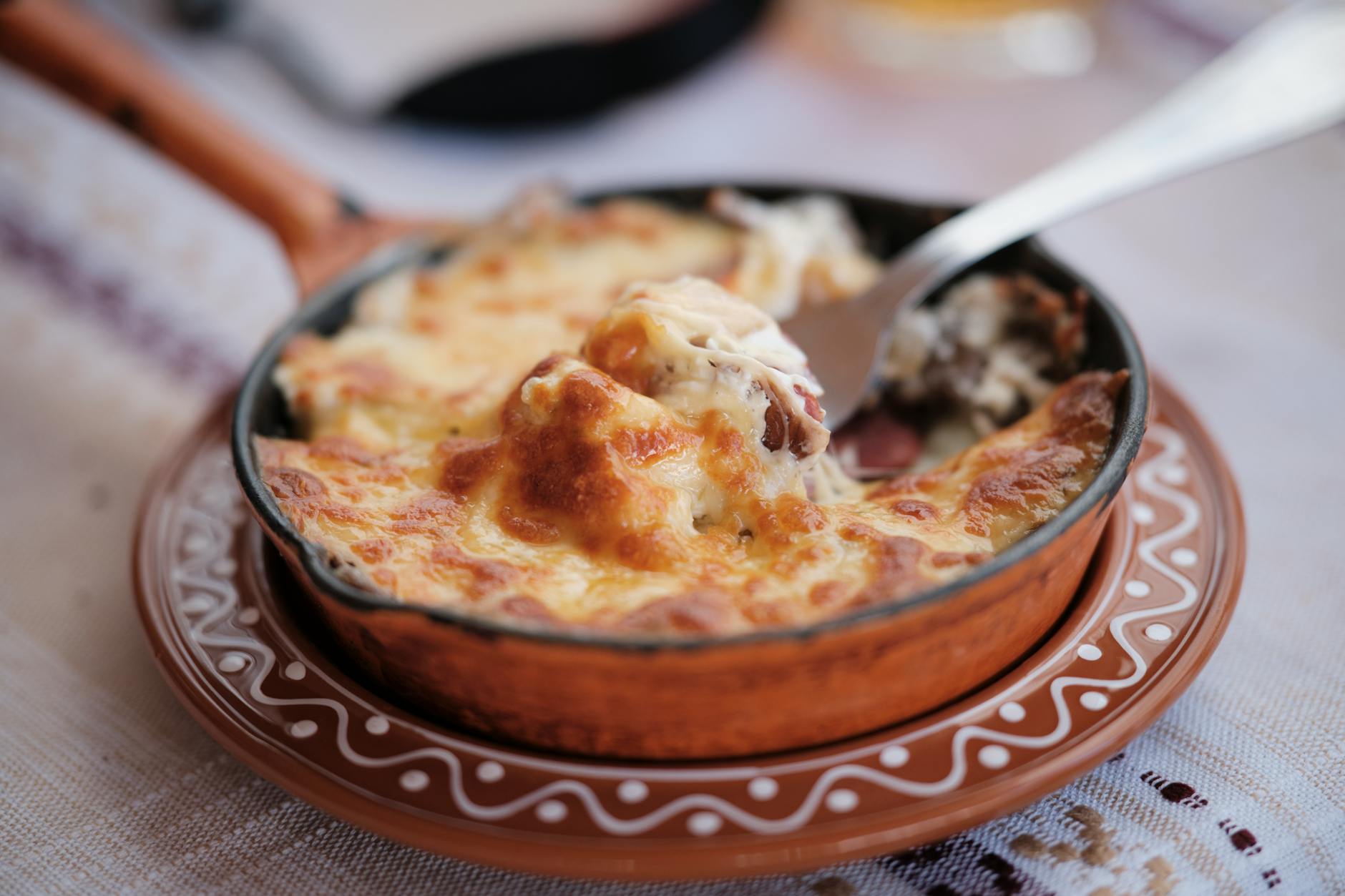 Golden Squash & Cheese Bake