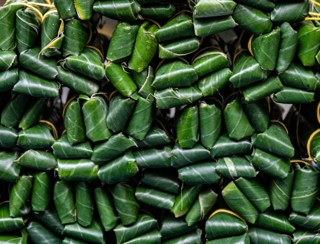 Grilled Beef in Betel Leaf Wraps