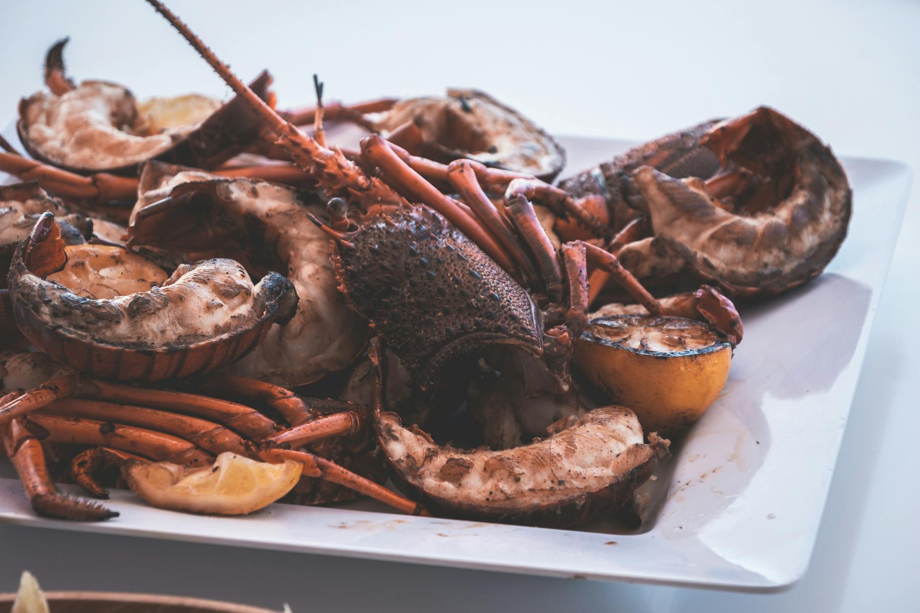 Grilled Lobster Tail with Garlic Butter & Lemon