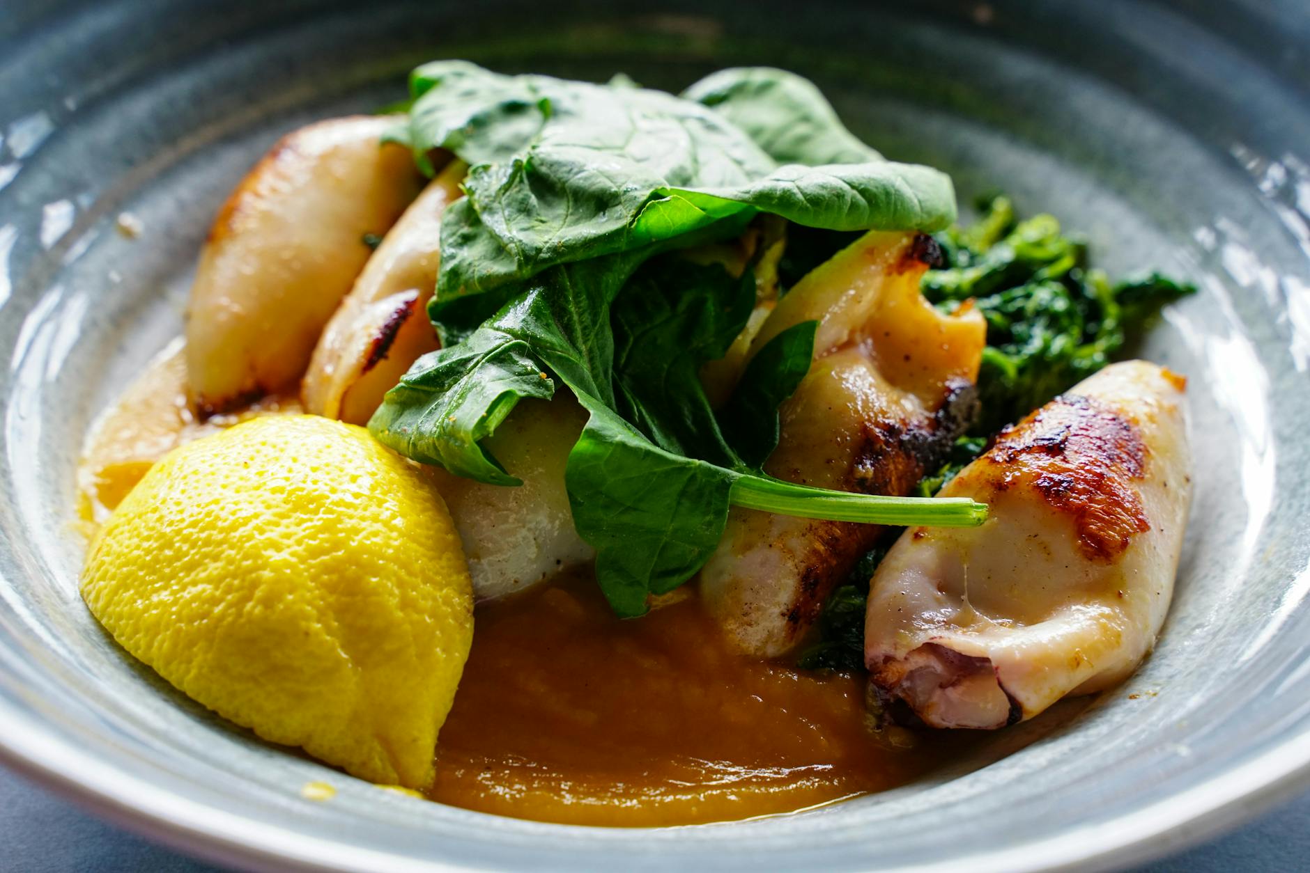 Grilled Octopus