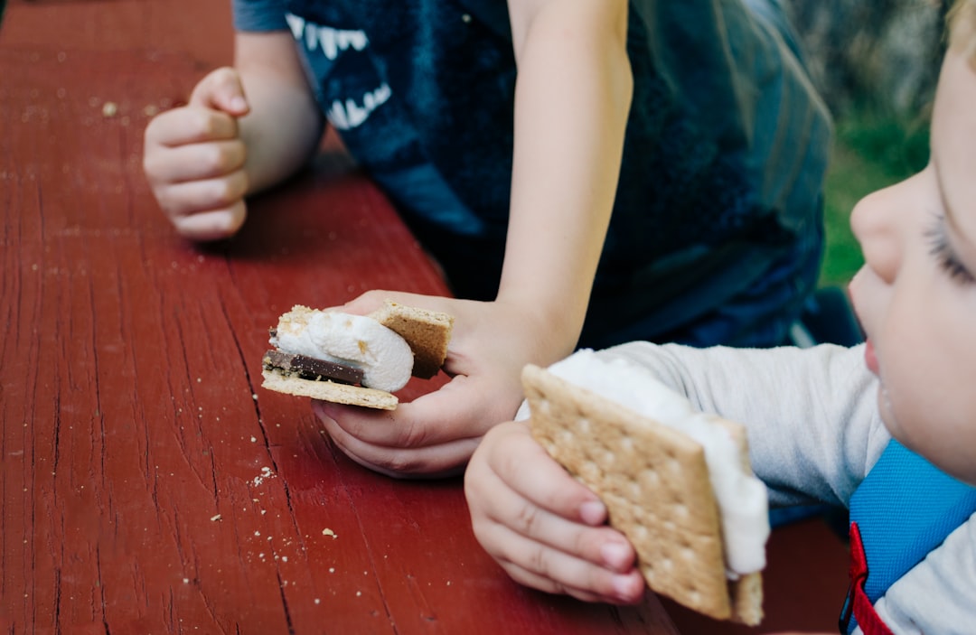 5-Minute No-Bake S'mores Bars