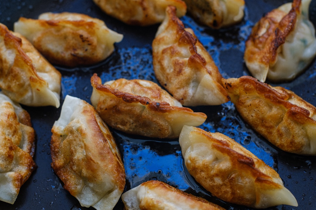 Pan-Fried Chicken Dumplings