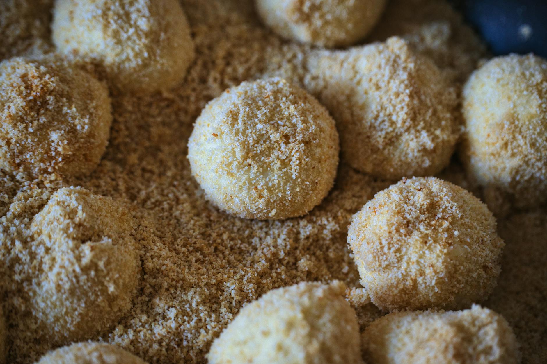 Pan-Fried Plum Dumplings