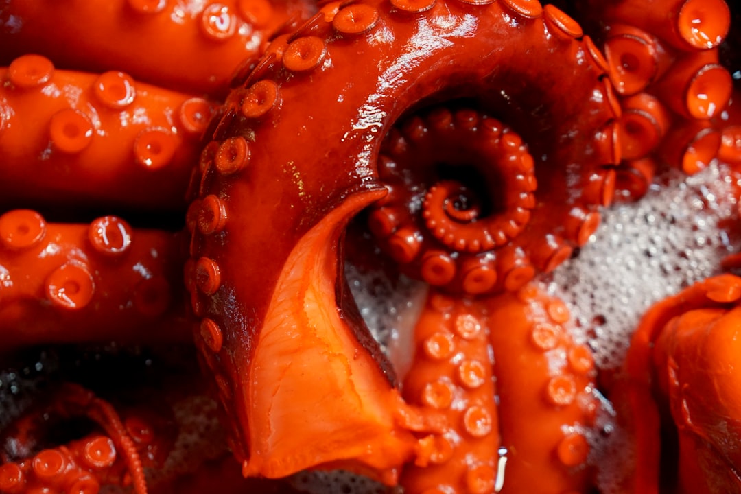 Pulpo a la Gallega