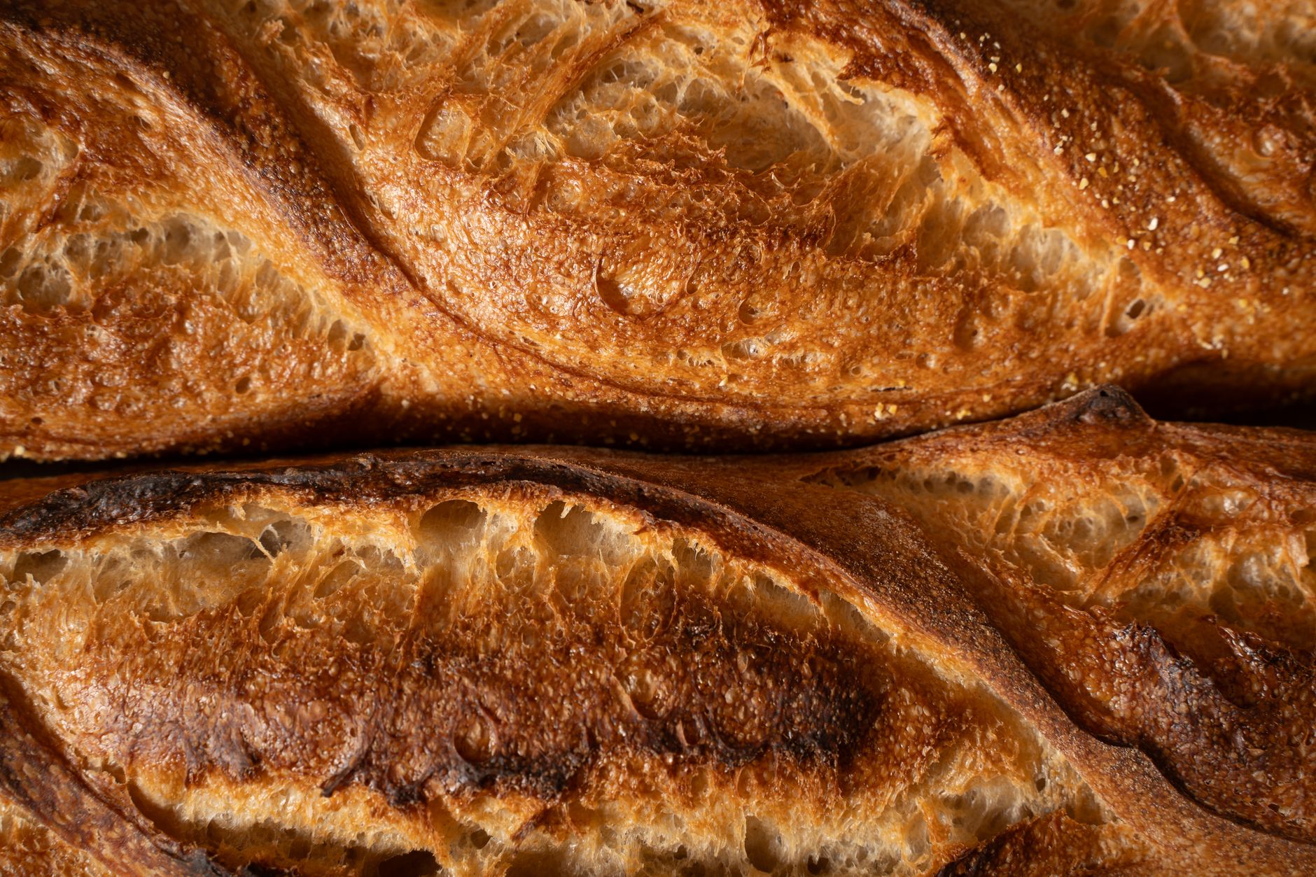 San Francisco Sourdough Bread