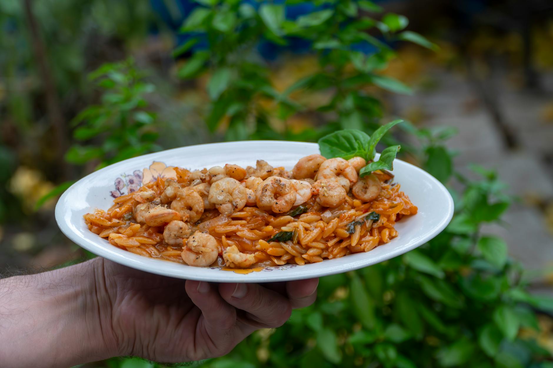 20-Min Shrimp Youvetsi with Orzo