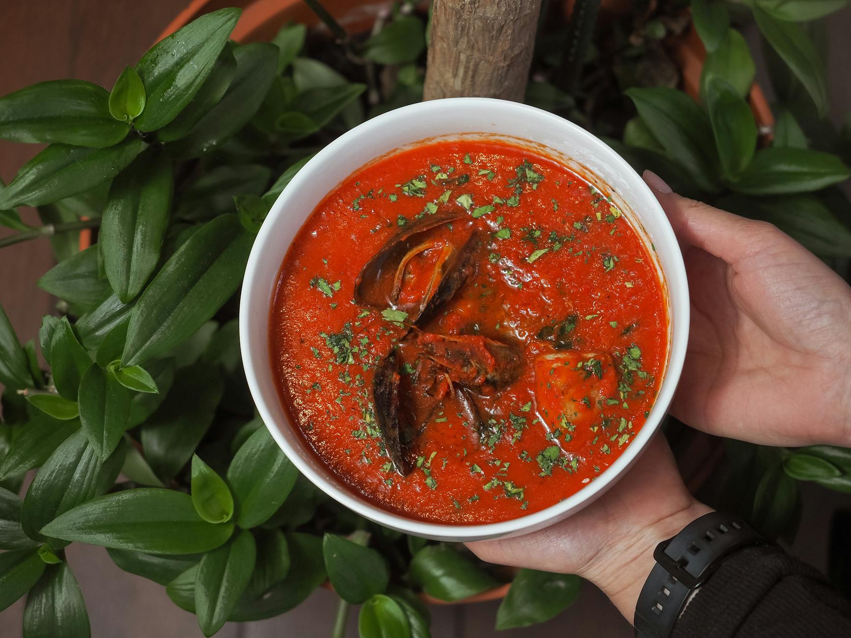 Spanish Mussels in Tomato Wine Sauce