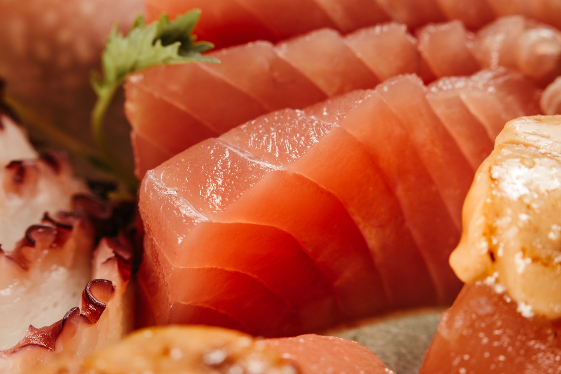 Tuna Tataki