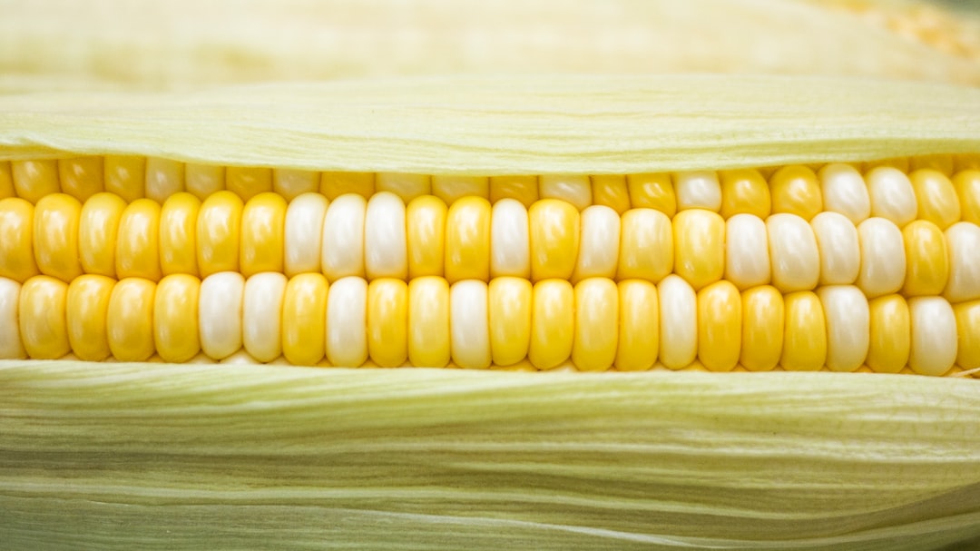 Microwave Corn on the Cob