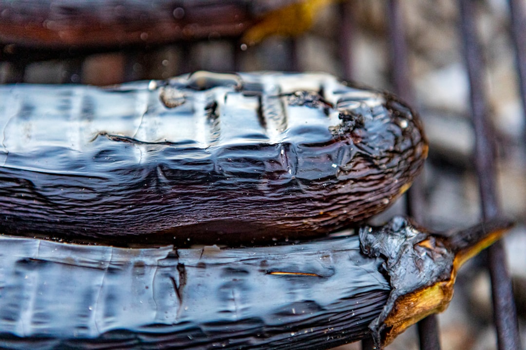 Charred Grilled Eggplant